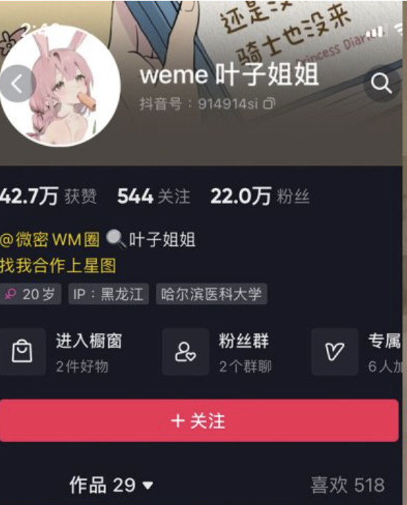 叶子姐姐 微密圈最新合集