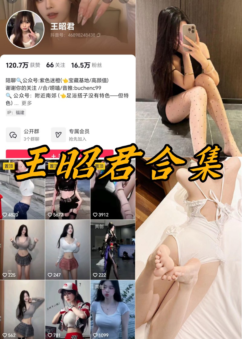 抖音王昭君微密全部写真及视频资源
