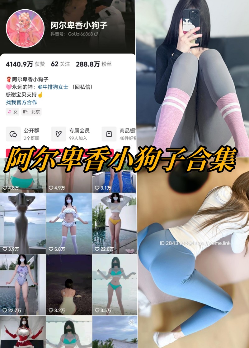 阿尔卑香小狗子微密圈写真合集资源