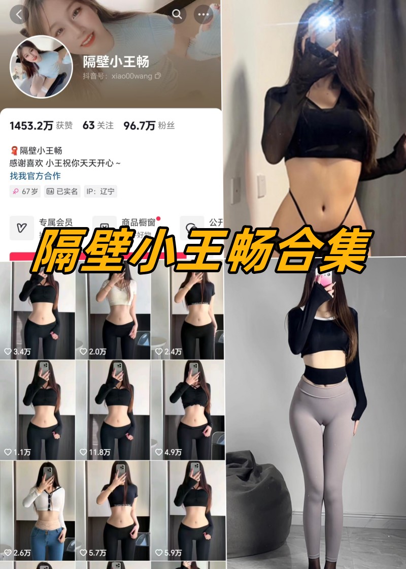 隔壁小王畅微密圈付费写真合集