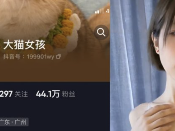 大猫女孩微密圈付费写真以及视频合集