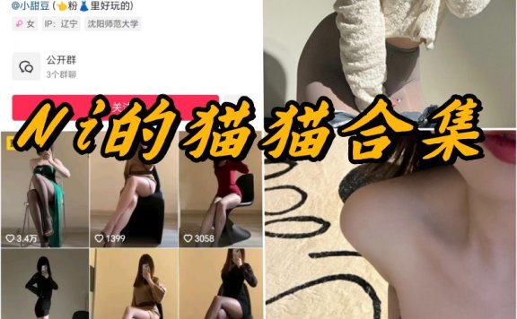 Ni的猫猫微密全部付费写真资源合集