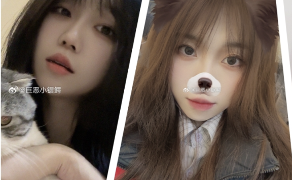 巨恶小锯鳄微密高清图片免费分享