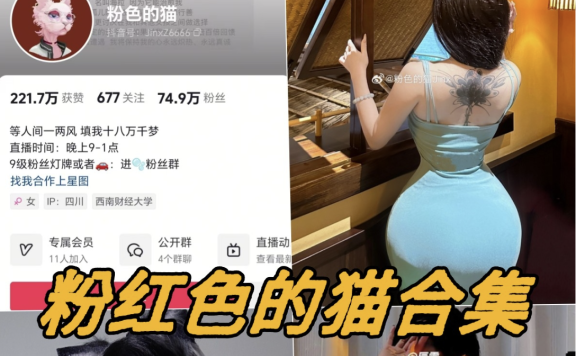 粉色的猫jinx微密圈内购资源写真视频合集