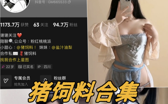 猪饲料(芝芝yami) – 微密圈资源合集[15套]