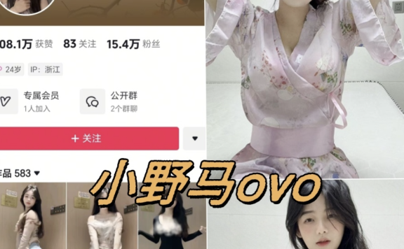 小野马ovo微密圈全套付费写真合集下载