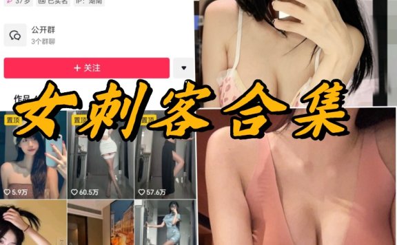 女刺客微密付费写真以及视频合集