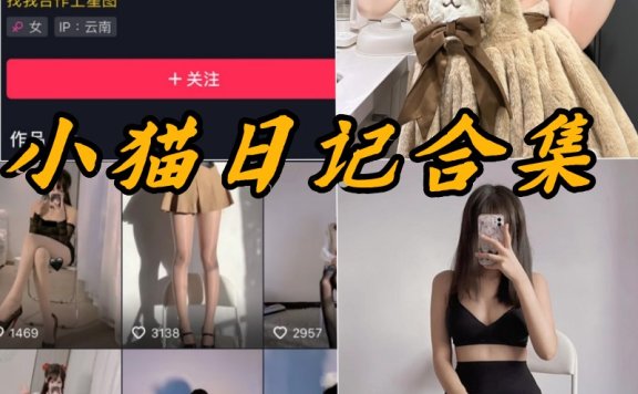 小猫日记微密圈全部写真以及视频合集