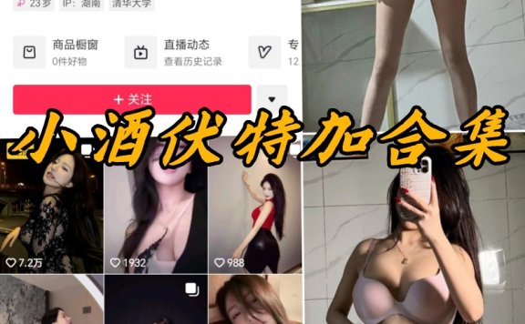 小酒伏特加微密圈写真图片合集