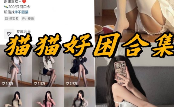 猫猫好困微密圈写真以及视频资源