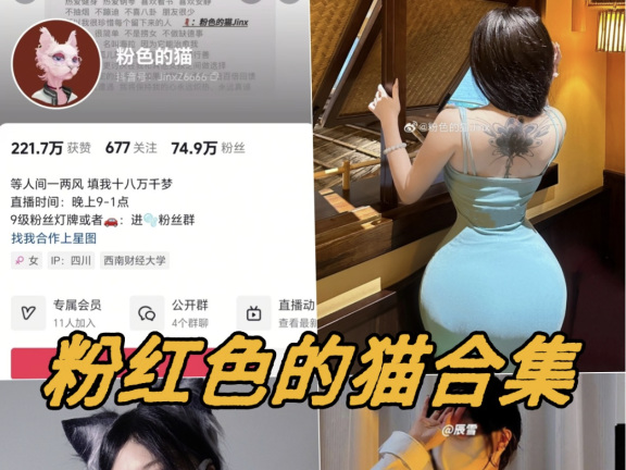 粉色的猫jinx微密圈内购资源写真视频合集