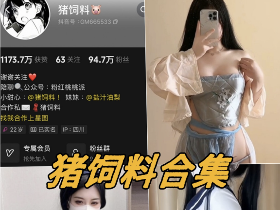 猪饲料(芝芝yami) – 微密圈资源合集[15套]