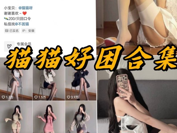 猫猫好困微密圈写真以及视频资源